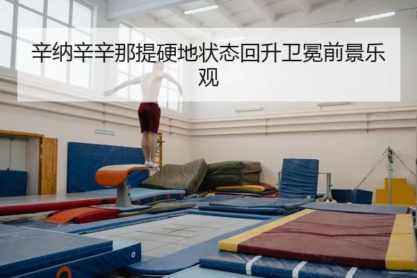 xin-na-xin-xin-na-ti-ying-di-zhuang-tai-hui-sheng-wei-mian-qian-jing-le-guan-2-112.jpg